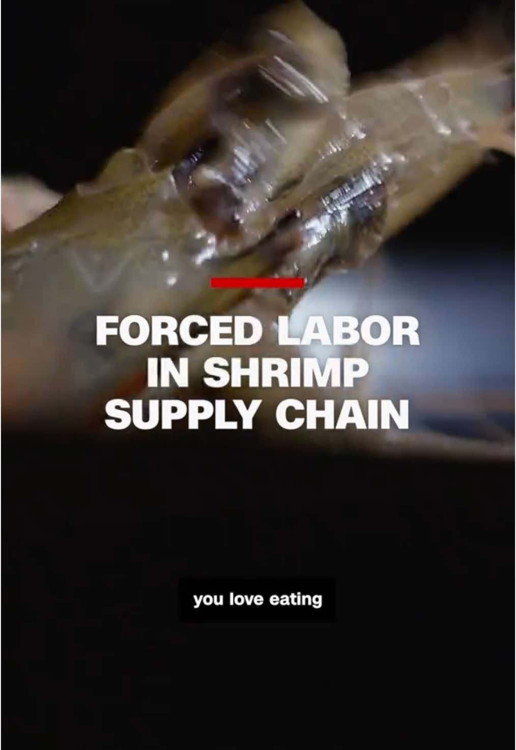 world news headlines today