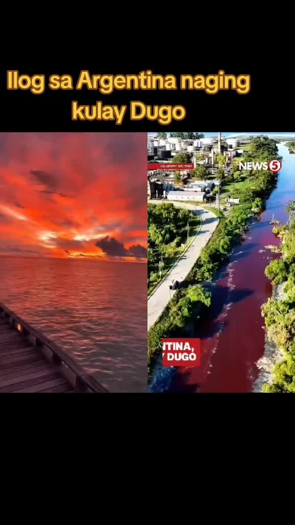 world news headlines today